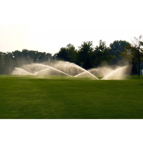 Rain Bird golfpálya szórófej G990 - 22,3-31,4 m, fix 360° - 8 cm kimelkedés