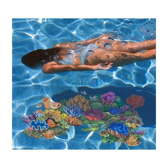 Víz alatti dekormatrica, csikóhal, 20 x 14 cm