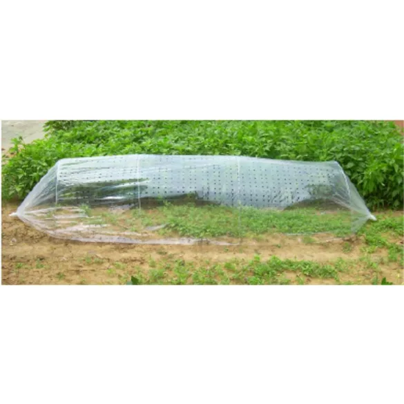 Melegágy, Strend Pro Garden, 310 x 100 cm, perforált fólia, mini melegház, kertbe, csíráztatáshoz (TC217771)