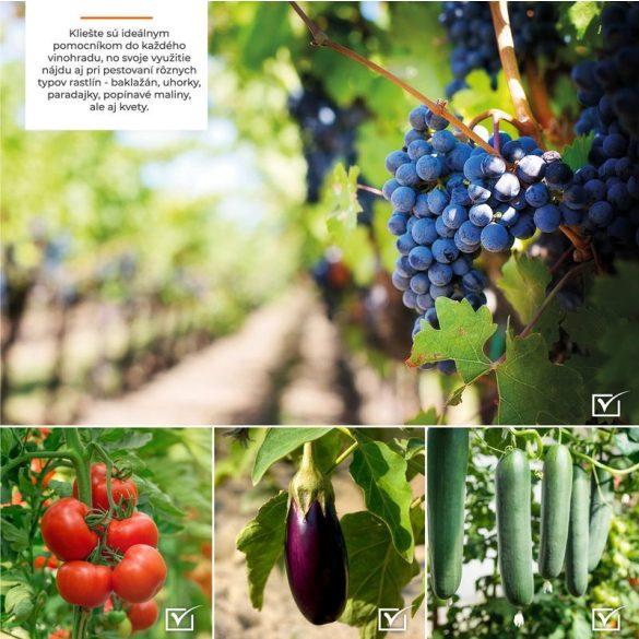 Kötözőfogó, Strend Pro Garden Cameleon SP500, szürke, acél fej, műanyag tárolórész