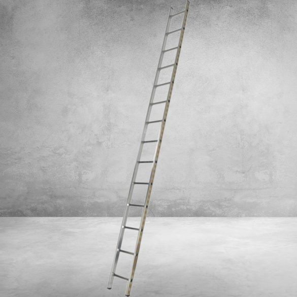 Támasztó létra, ALVE Eurostyl Profi 7114 A398 B40, 1 x 14 fokos