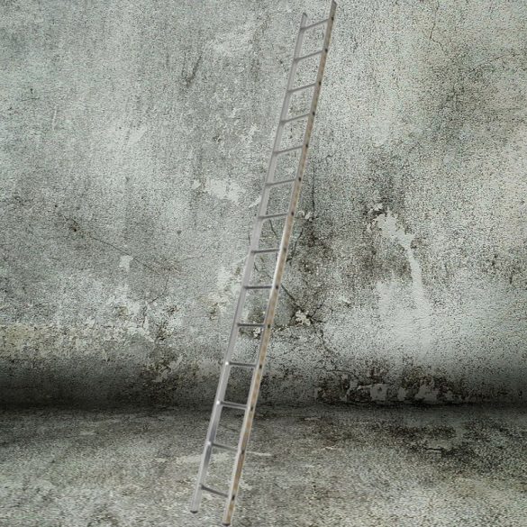 Támasztó létra, ALVE Eurostyl Profi 7114 A398 B40, 1 x 14 fokos