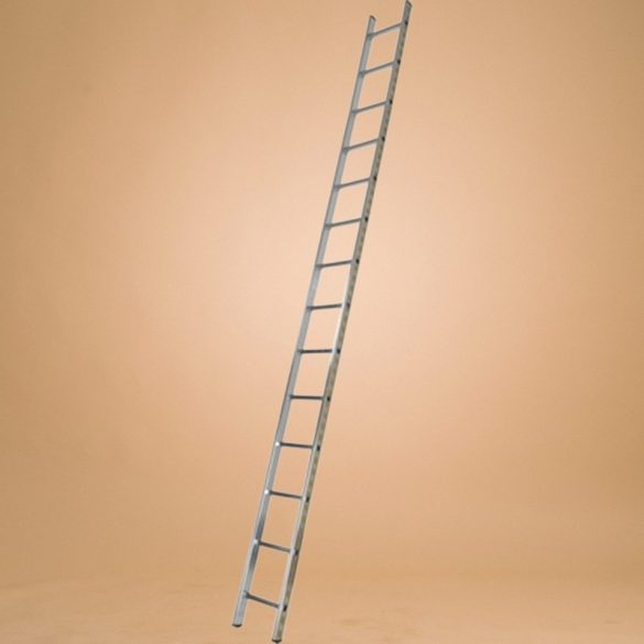 Támasztó létra, ALVE Eurostyl Profi 7114 A398 B40, 1 x 14 fokos