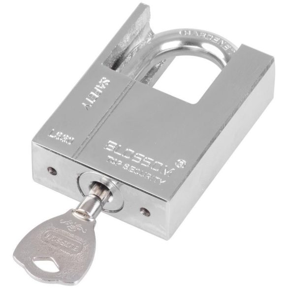 Lakat, Blossom LS0350, 50 mm, ezüst, magas biztonságú zárszerkezet, függőzár kivitel, kapukhoz, ajtókhoz és szekrényekhez