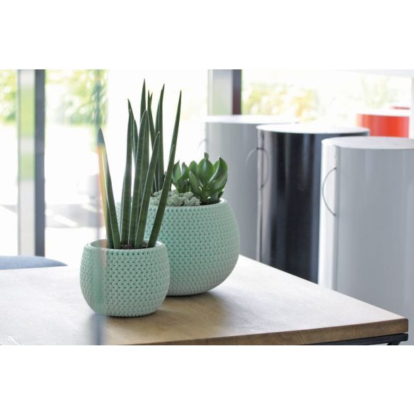 Műanyag virágcserép, Prosperplast Splofy Bowl, zsályazöld, átmérő: 29 cm, magasság: 19,5 cm, tál alakú, betéttel, 3,9 l, kerek