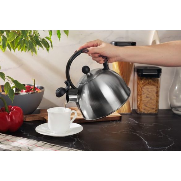 Teáskanna, MagicHome, 2500 ml, ezüst, sípoló, rozsdamentes acél, indukciós kompatibilis, elektromos, gáz, kerámia és halogén főzőlappal használható
