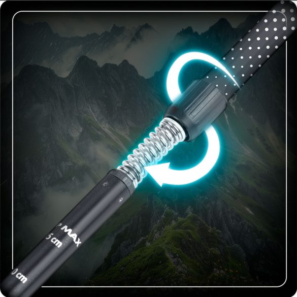 Túrabot, Neo-Sport NS-381, fekete/ezüst, alumínium, műanyag markolat, teleszkópos, 65 / 135 cm, 1 pár