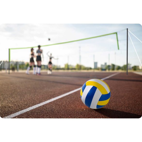Röplabda és tollaslabda háló és állvány szett, Neo-Sport, 570 x 230 cm, állítható magasságú, fém oszlopok, PE háló, labdával és pumpával, könnyen szerelhető