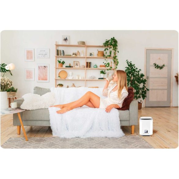 Párásító, Berdsen BD-502, fehér, 2600 ml tartály, ultrahangos, ionizátorral, aromaterápiás, hidegpárás, higrosztát, automatikus kikapcsolás, időzítő 1-9 h, 250 ml/h