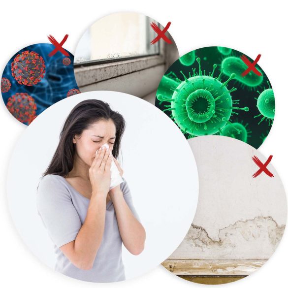 Páramentesítő, Berdsen BD-530, fehér, 2000 ml tartály, 750 ml/nap, ultracsendes 34 dB, Peltier-technológia, érintőpanel, időzítő, éjszakai mód, 60 W