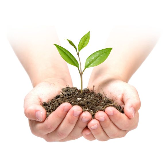 Talajtakaró geotextília, Plonos, 1,6 x 100 m, fekete, nem szőtt, 50 g/m2, tekercs, 100 db rögzítő tüskével, 3% UV-védelem