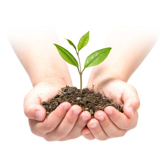 Talajtakaró geotextília, Plonos, 1 x 75 m, fekete, nem szőtt, 150 g/m2, tekercs, 50 db rögzítő tüskével, 3% UV-védelem