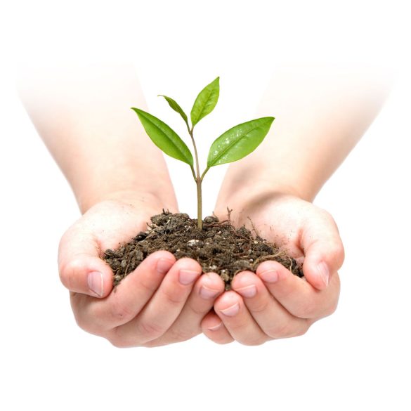 Talajtakaró geotextília, Plonos, 1,6 x 50 m, fekete, nem szőtt, 90 g/m2, tekercs, 100 db rögzítő tüskével, 3% UV-védelem