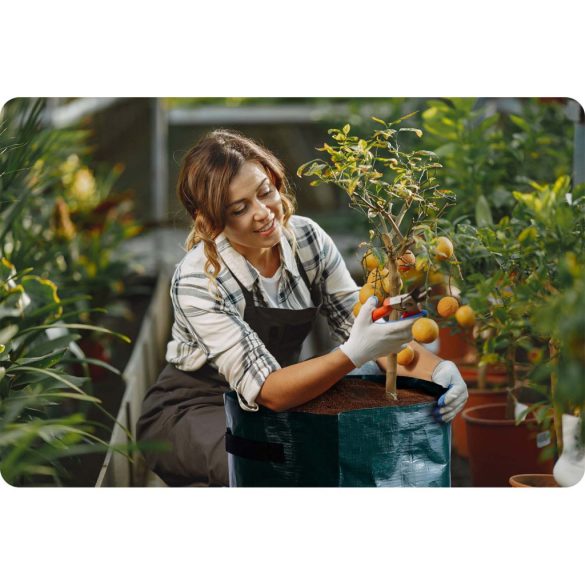 Kerti ültetőzsák, Plonos PL-964, zöld, 43,3 l, betakarító ablakkal, légáteresztő polietilén, drenázsnyílásokkal, két fogantyúval