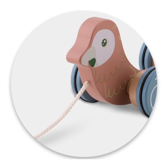 Húzható fajáték, Nukido NK-854, papagáj, levehető formabedobóval, Montessori ihletésű, fejlesztő, természetes fa, zsinórral húzható